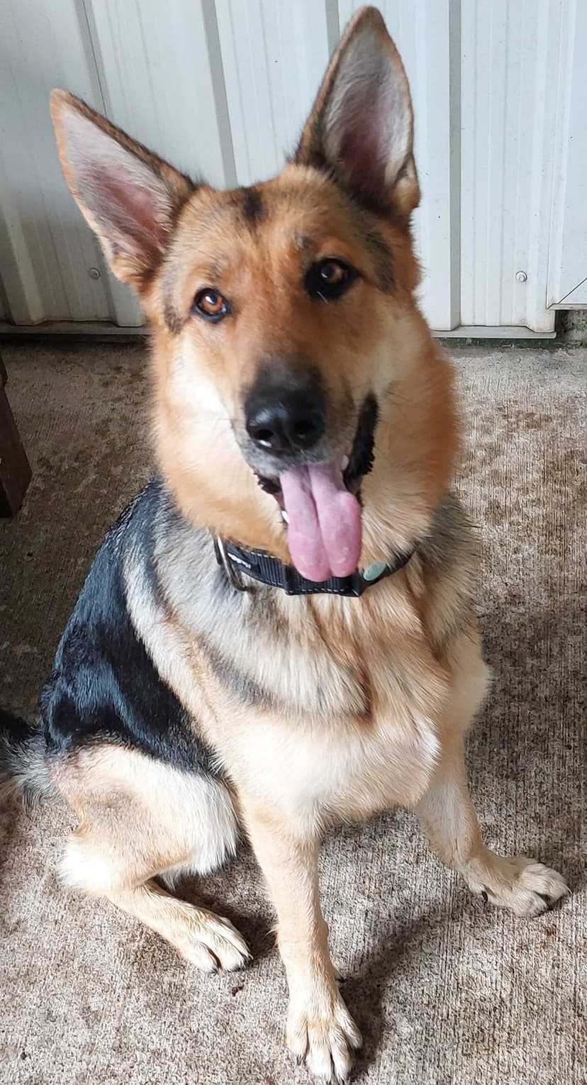daycare photo 77