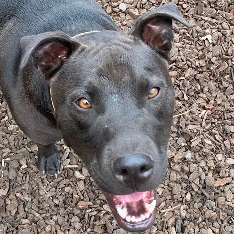 daycare photo 78