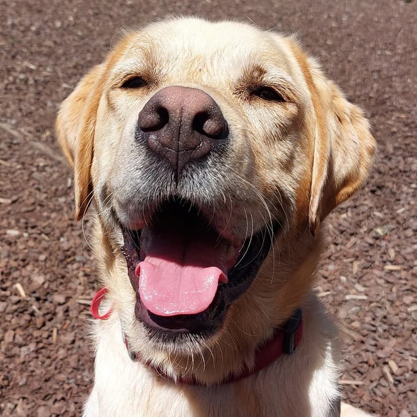 daycare photo 79