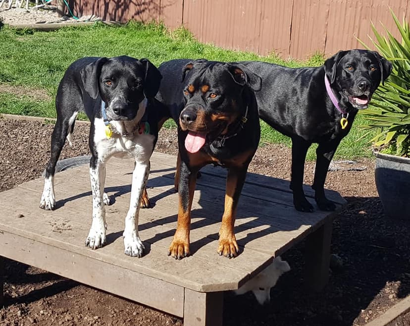 daycare photo 42