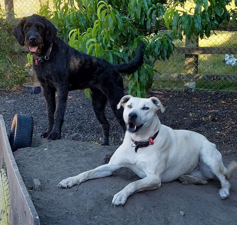 daycare photo 46
