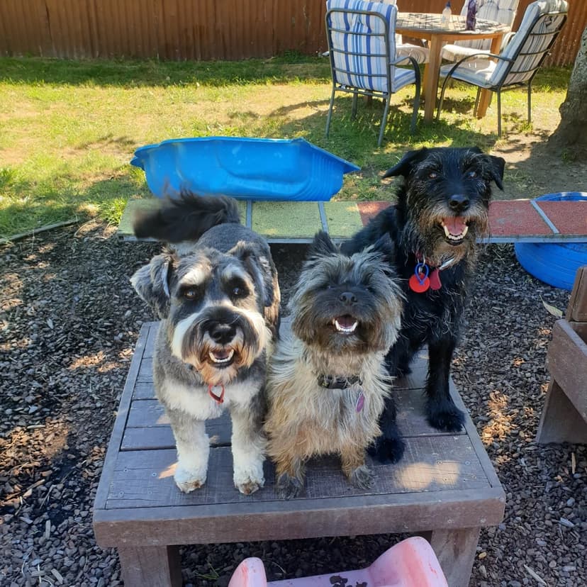 daycare photo 80