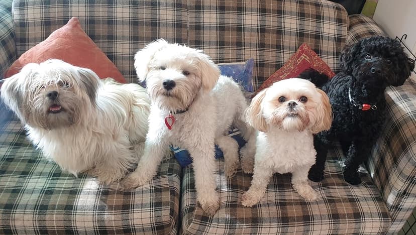 daycare photo 81