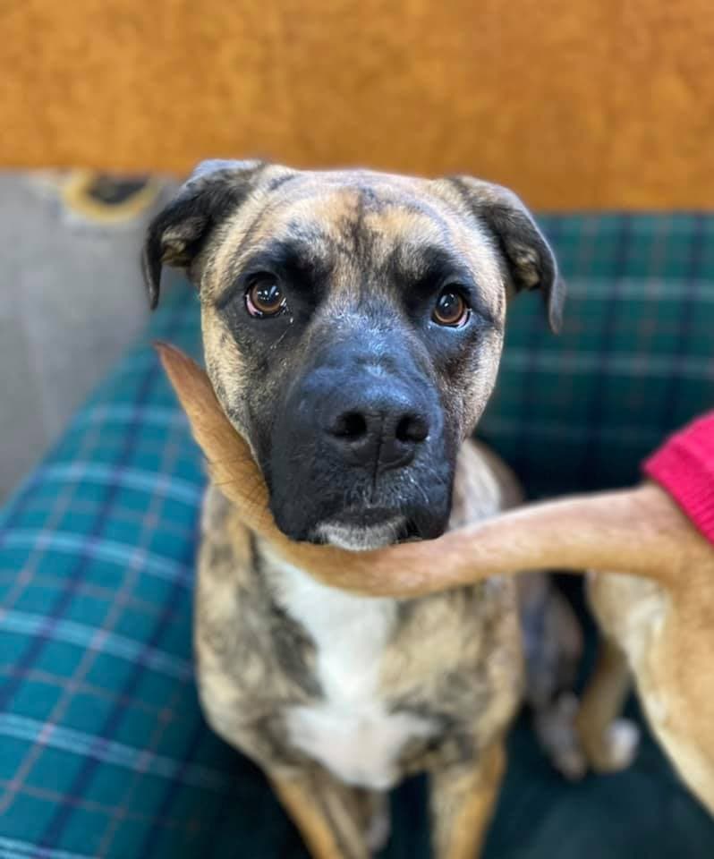 daycare photo 82