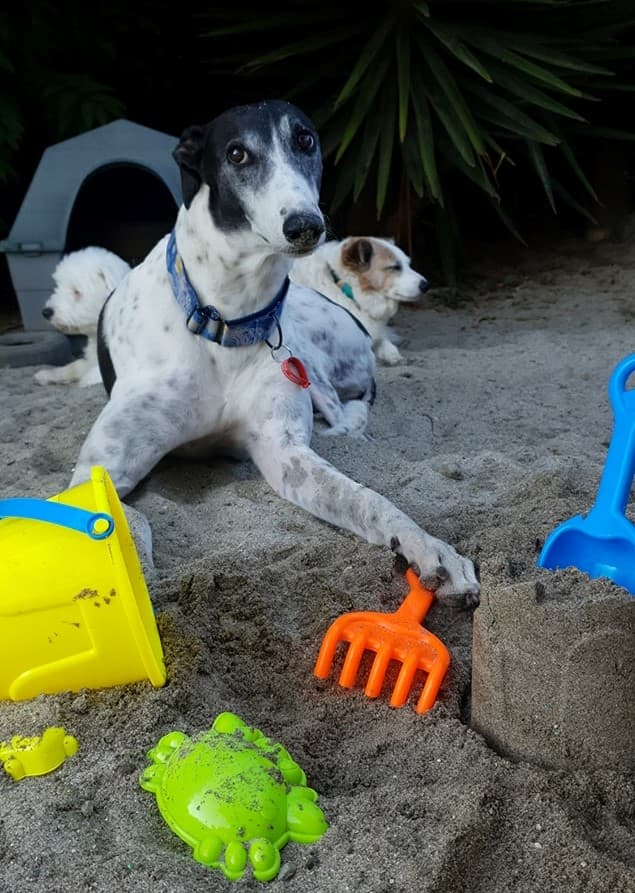 daycare photo 84