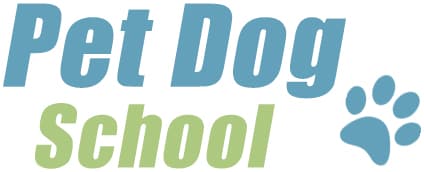 Pet Dog School